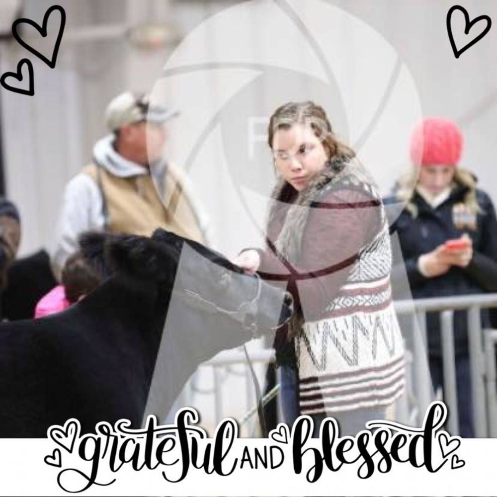 Meet your Posher, Casey